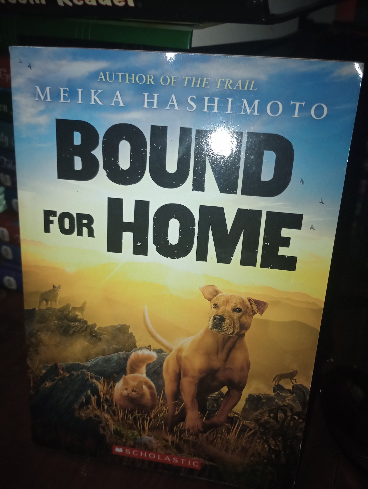 Bound for home