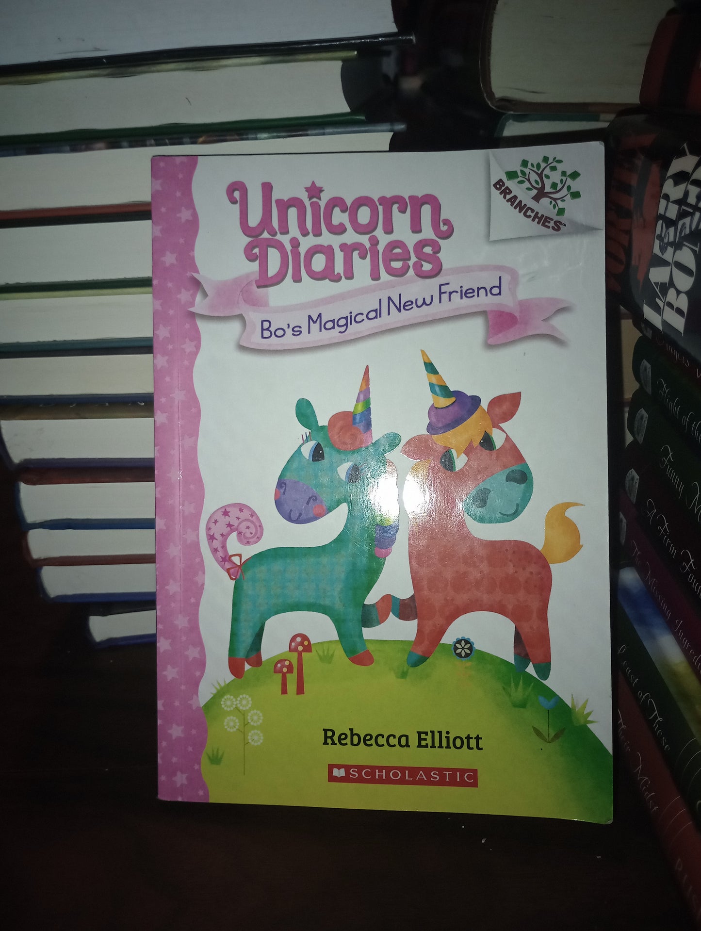 Unicorn Diaries